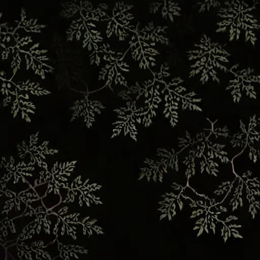Alisma